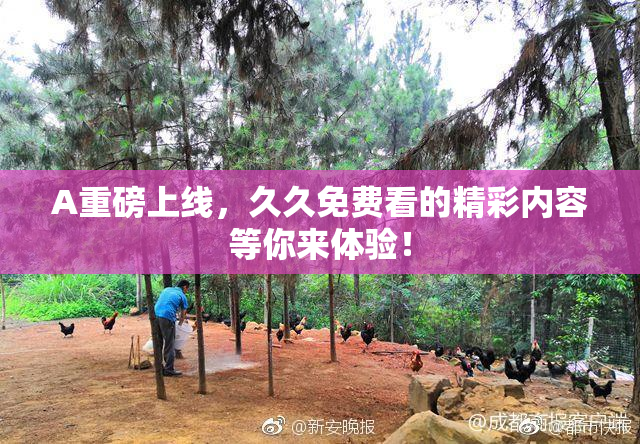 A重磅上线，久久免费看的精彩内容等你来体验！