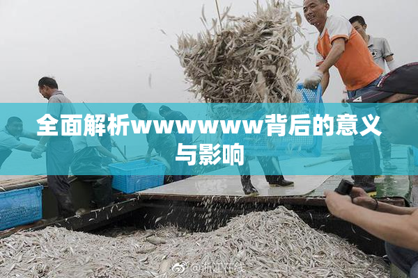 全面解析wwwwww背后的意义与影响