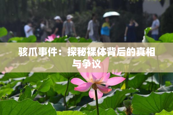 骇爪事件：探秘裸体背后的真相与争议