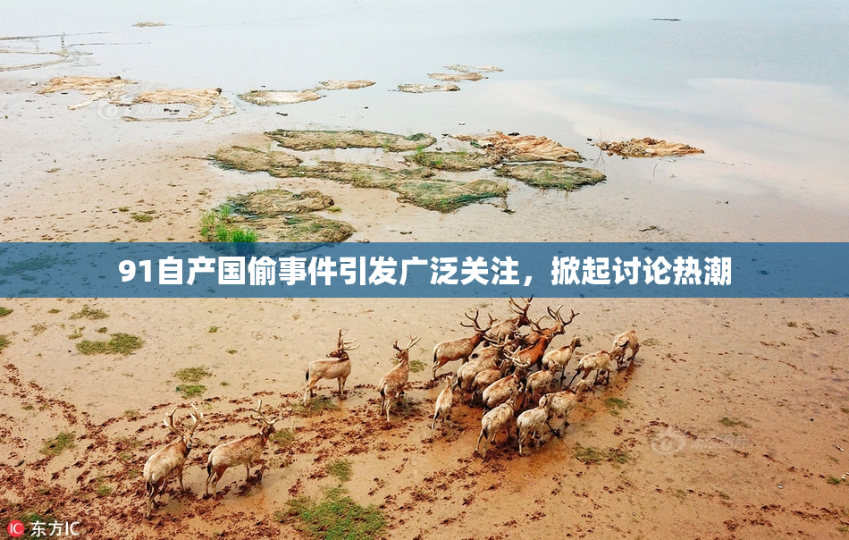 91自产国偷事件引发广泛关注，掀起讨论热潮