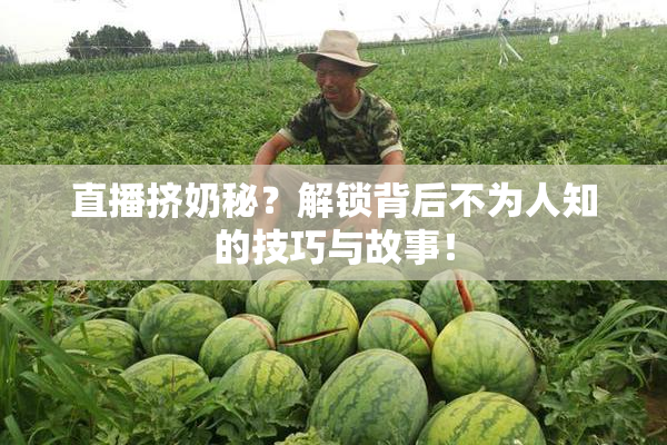 直播挤奶秘？解锁背后不为人知的技巧与故事！