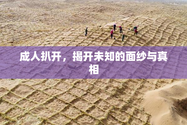 成人扒开，揭开未知的面纱与真相
