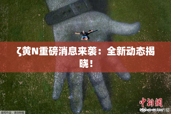 ζ黄Ν重磅消息来袭：全新动态揭晓！