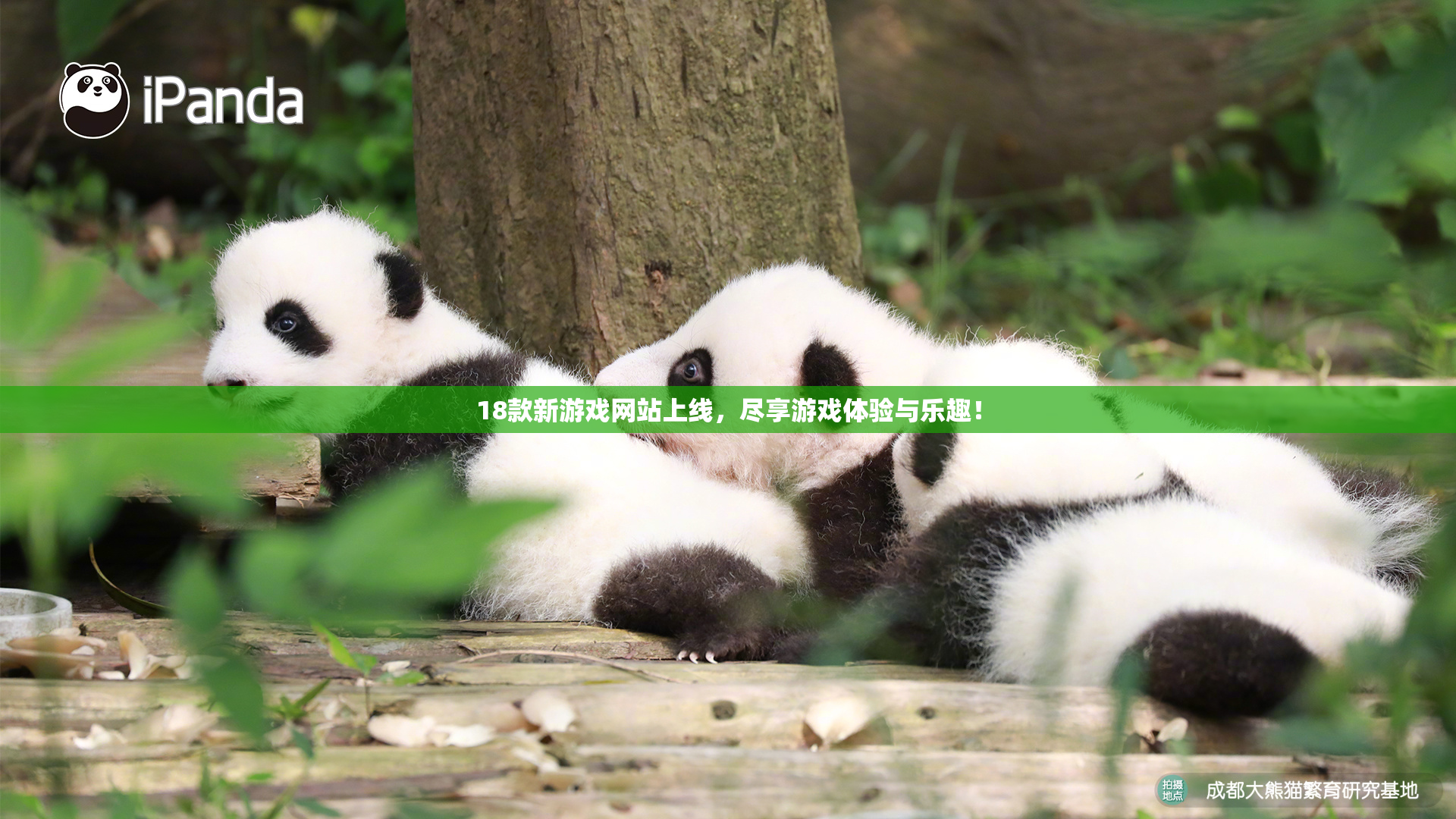 18款新游戏网站上线，尽享游戏体验与乐趣！