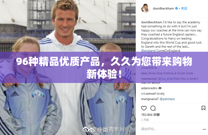 96种精品优质产品，久久为您带来购物新体验！