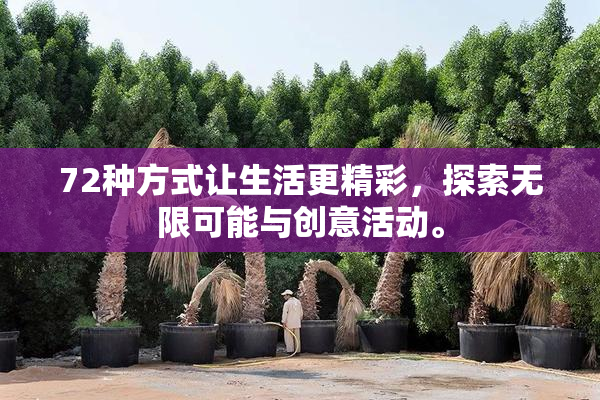 72种方式让生活更精彩，探索无限可能与创意活动。