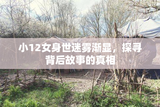 小12女身世迷雾渐显，探寻背后故事的真相