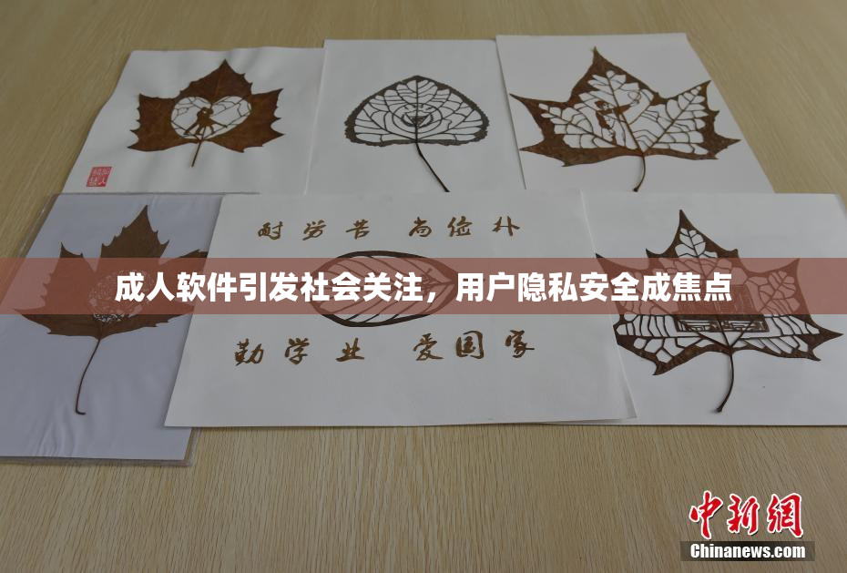 成人软件引发社会关注，用户隐私安全成焦点
