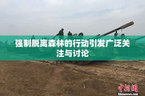 强制脱离森林的行动引发广泛关注与讨论