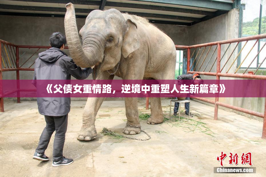 《父债女重情路，逆境中重塑人生新篇章》