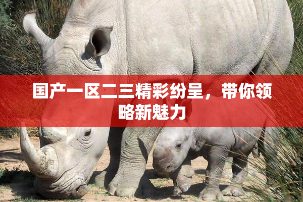 国产一区二三精彩纷呈，带你领略新魅力