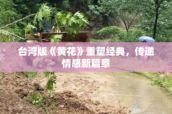 台湾版《黄花》重塑经典，传递情感新篇章
