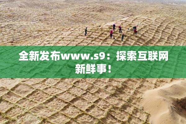 全新发布www.s9：探索互联网新鲜事！