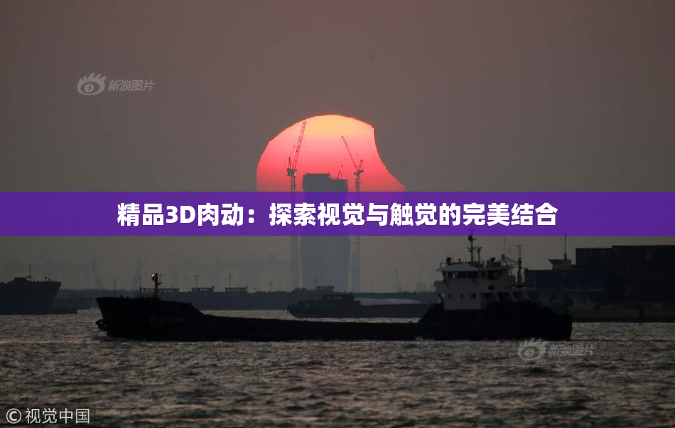 精品3D肉动：探索视觉与触觉的完美结合