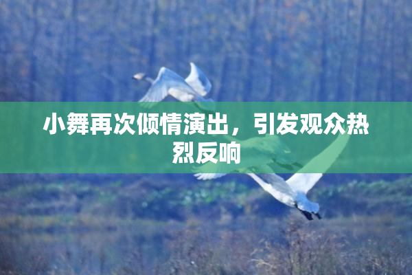 小舞再次倾情演出，引发观众热烈反响
