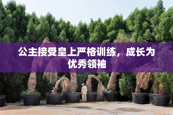 公主接受皇上严格训练，成长为优秀领袖