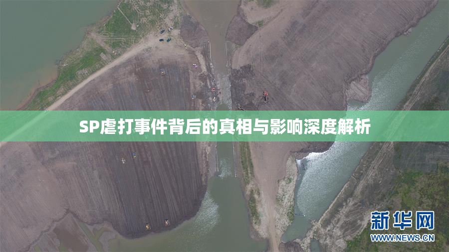 SP虐打事件背后的真相与影响深度解析