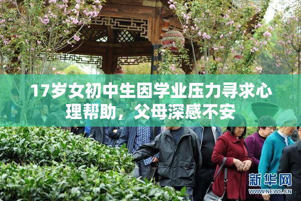 17岁女初中生因学业压力寻求心理帮助，父母深感不安