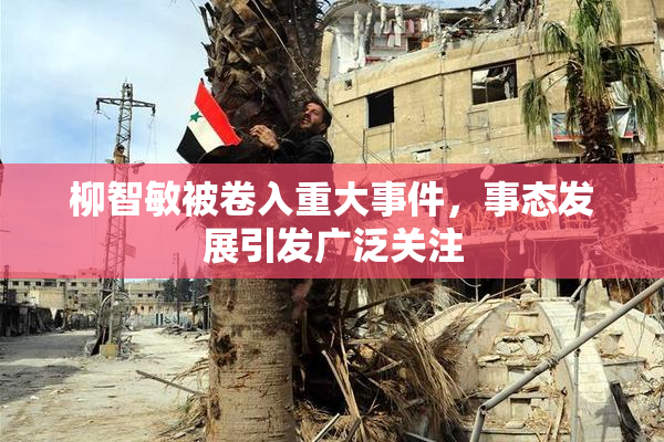 柳智敏被卷入重大事件，事态发展引发广泛关注