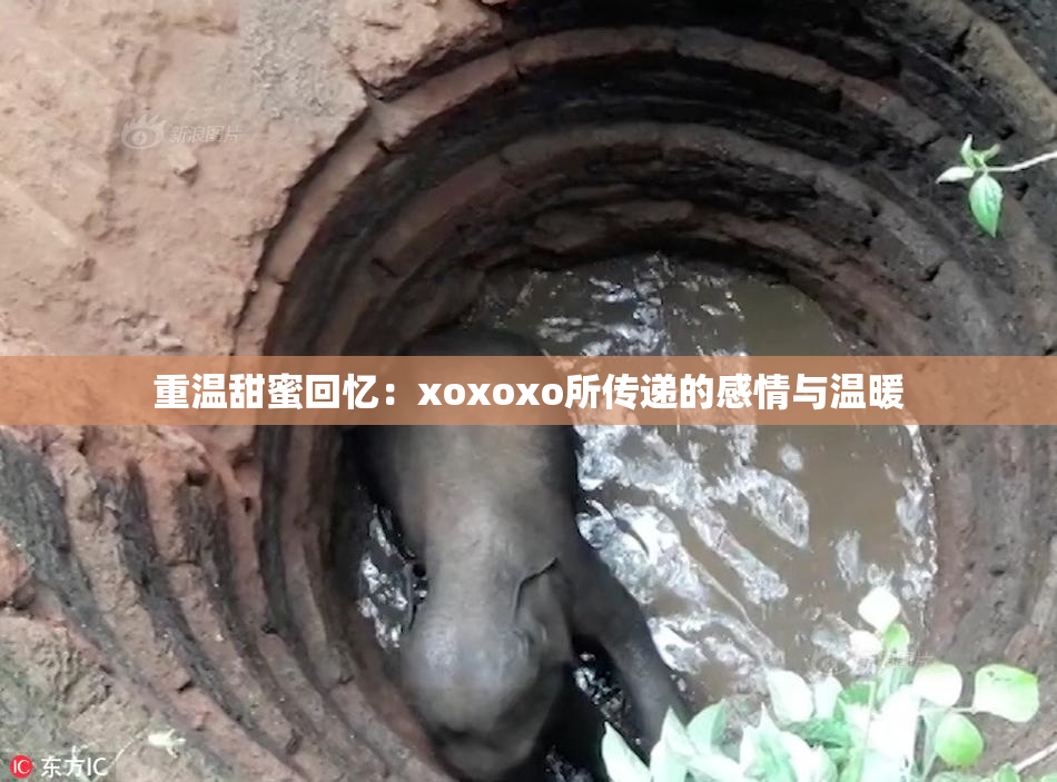 重温甜蜜回忆：xoxoxo所传递的感情与温暖