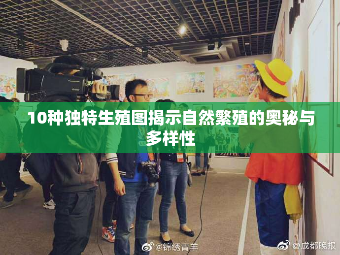 10种独特生殖图揭示自然繁殖的奥秘与多样性
