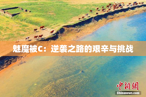 魅魔被C：逆袭之路的艰辛与挑战