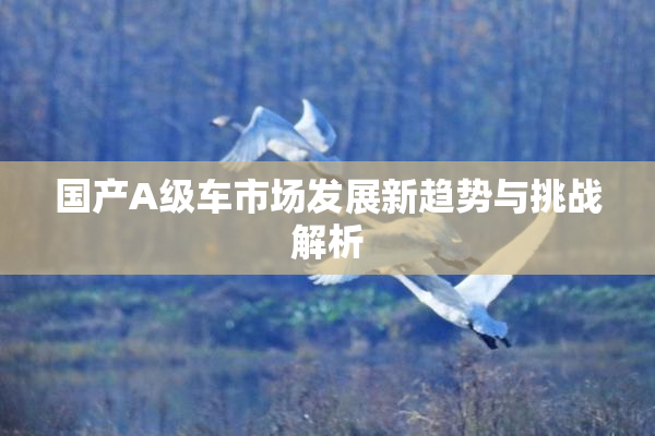 国产A级车市场发展新趋势与挑战解析