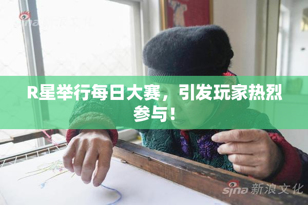 R星举行每日大赛，引发玩家热烈参与！