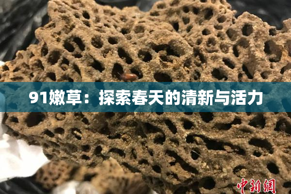 91嫩草：探索春天的清新与活力