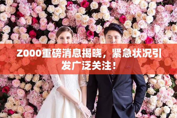 Z000重磅消息揭晓，紧急状况引发广泛关注！