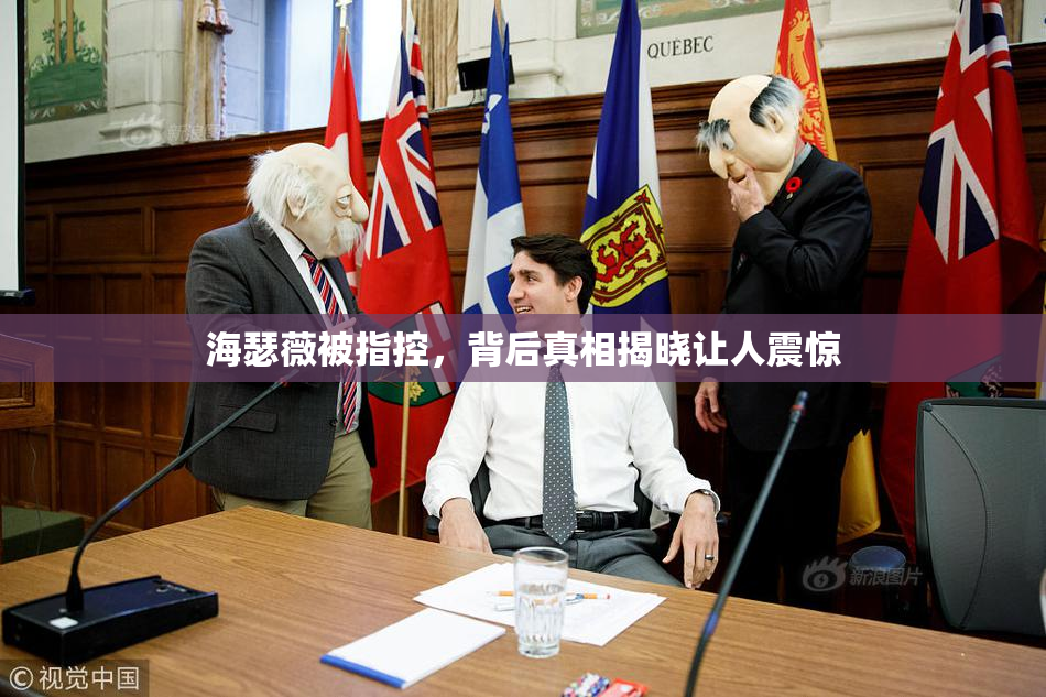 海瑟薇被指控，背后真相揭晓让人震惊