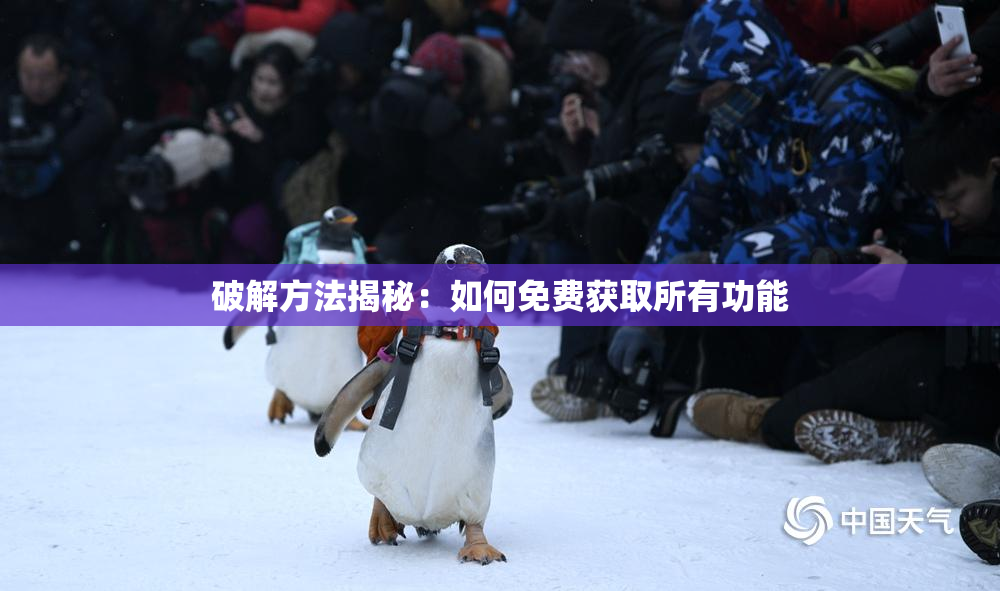 破解方法揭秘：如何免费获取所有功能