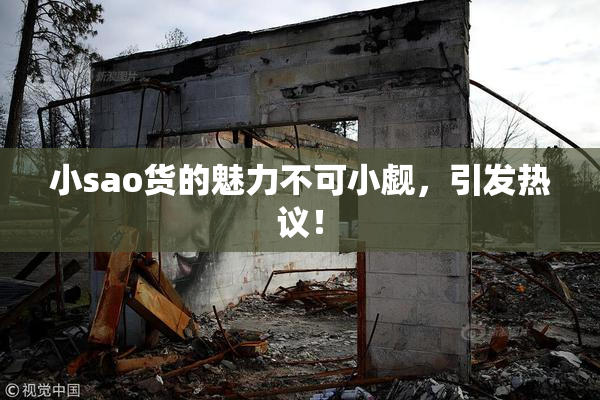 小sao货的魅力不可小觑，引发热议！