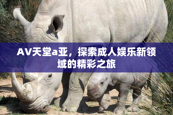 AV天堂a亚，探索成人娱乐新领域的精彩之旅