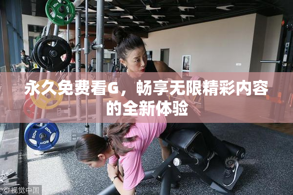 永久免费看G，畅享无限精彩内容的全新体验