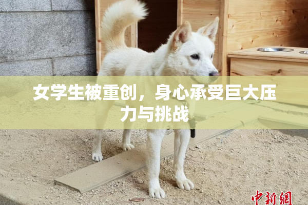 女学生被重创，身心承受巨大压力与挑战