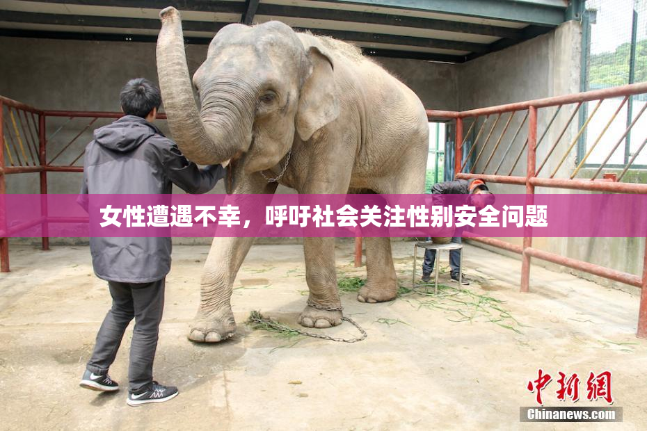 女性遭遇不幸，呼吁社会关注性别安全问题