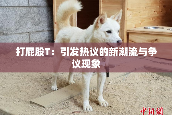 打屁股T：引发热议的新潮流与争议现象
