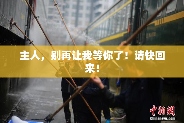 主人，别再让我等你了！请快回来！