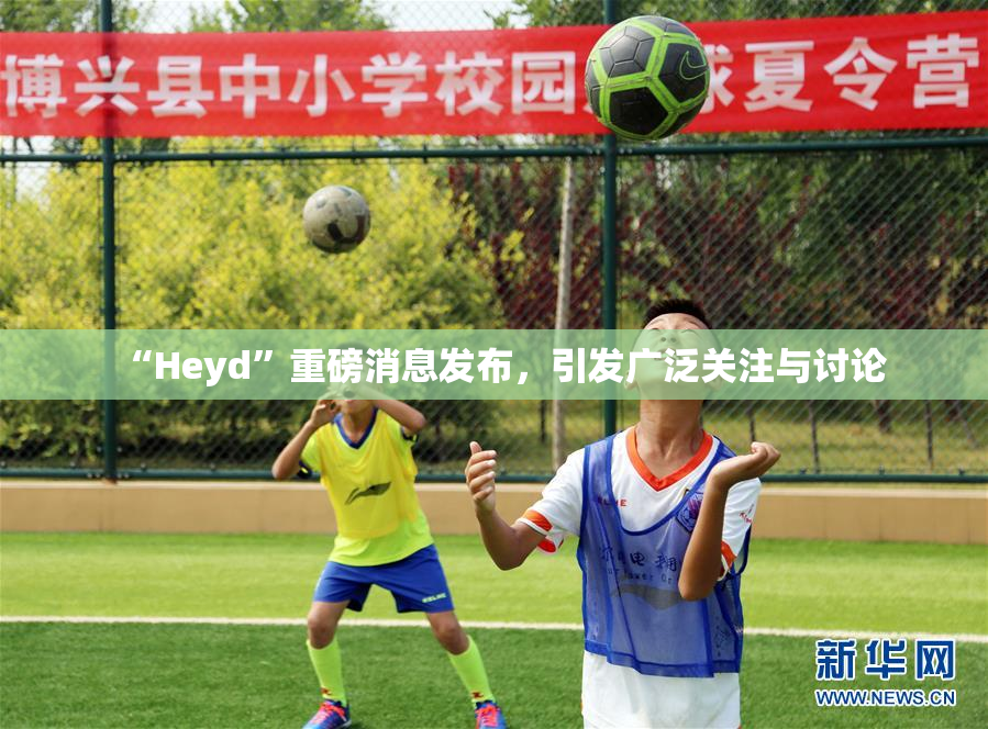 “Heyd”重磅消息发布，引发广泛关注与讨论