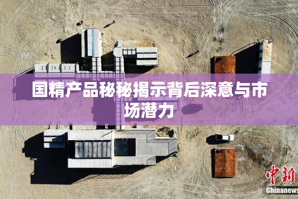 国精产品秘秘揭示背后深意与市场潜力