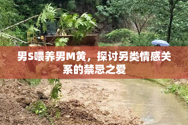 男S喂养男M黄，探讨另类情感关系的禁忌之爱