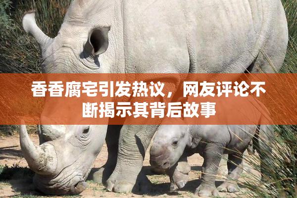 香香腐宅引发热议，网友评论不断揭示其背后故事