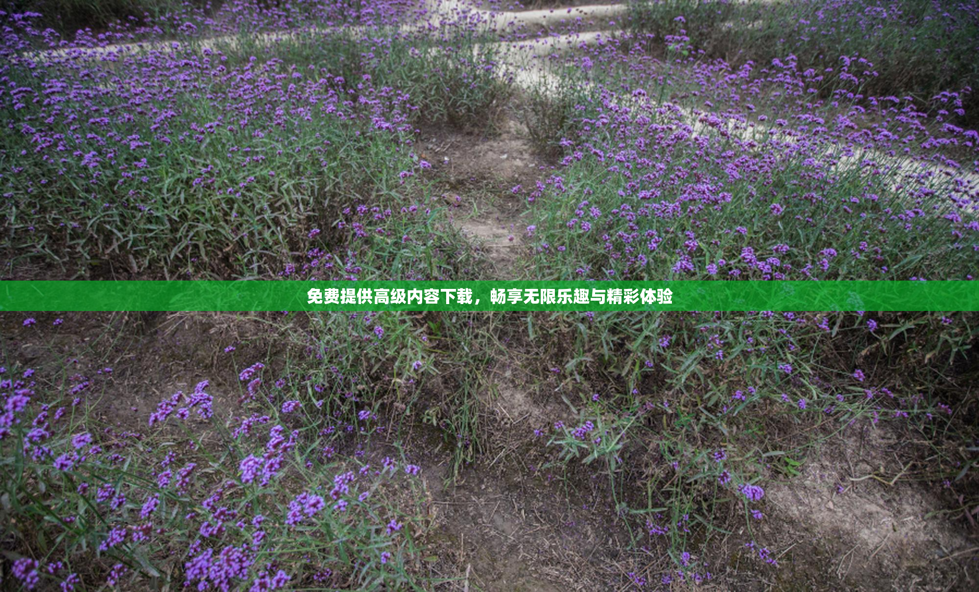 免费提供高级内容下载，畅享无限乐趣与精彩体验