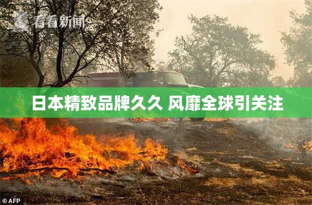 日本精致品牌久久 风靡全球引关注