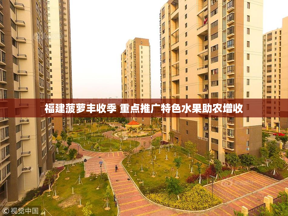 福建菠萝丰收季 重点推广特色水果助农增收