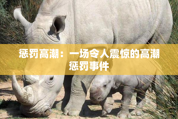 惩罚高潮：一场令人震惊的高潮惩罚事件
