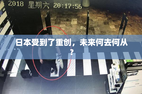 日本受到了重创，未来何去何从？