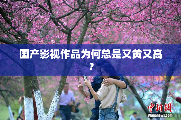 国产影视作品为何总是又黄又高？