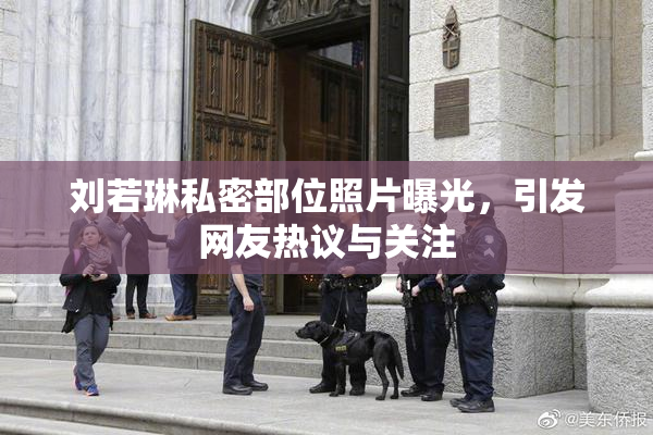 刘若琳私密部位照片曝光，引发网友热议与关注